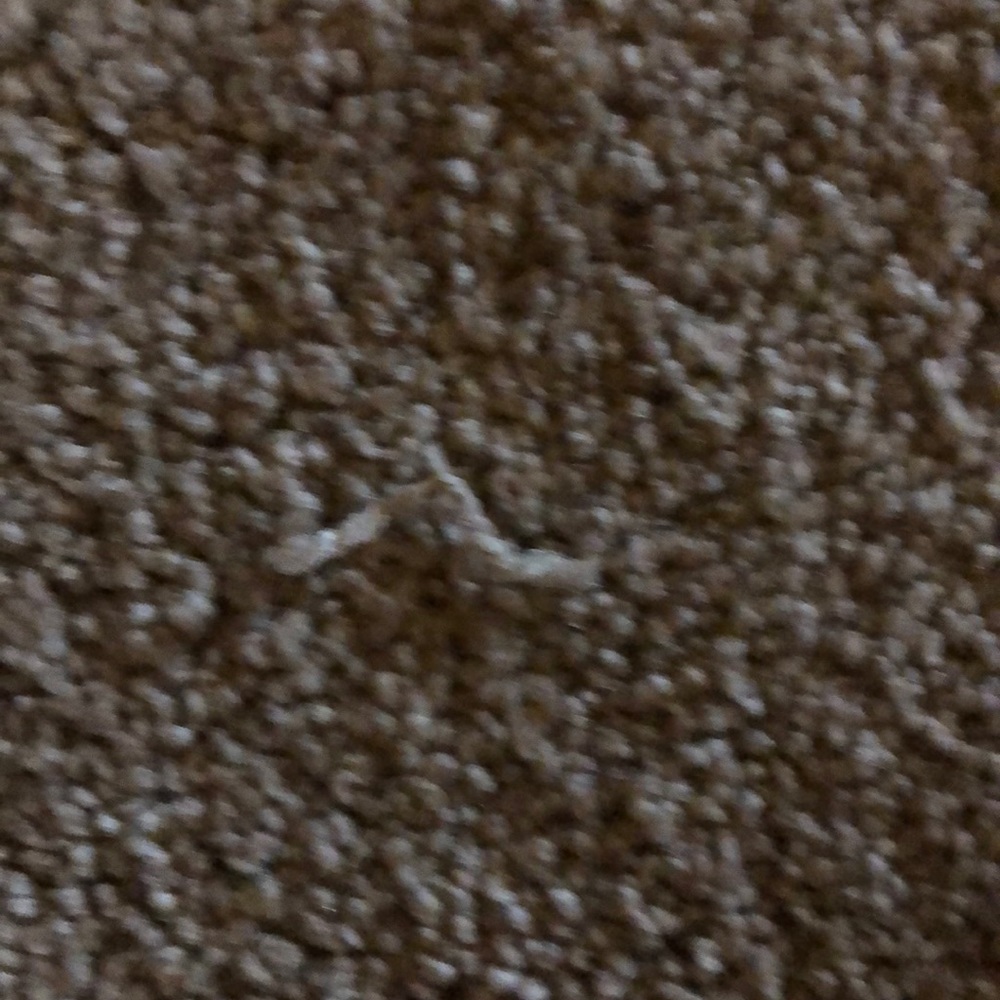 Some tiny strand of carpet i guess GUCCI